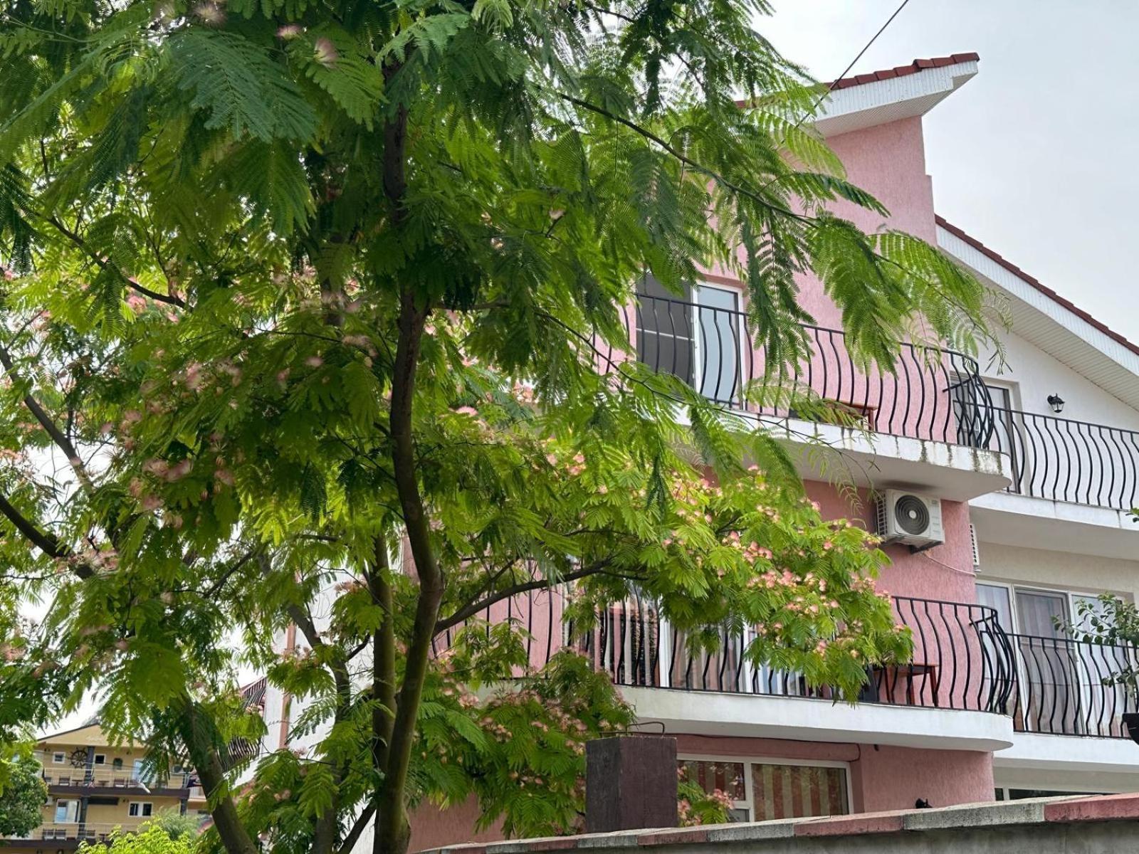 فندق Vila Lucy كوستِنيست المظهر الخارجي الصورة