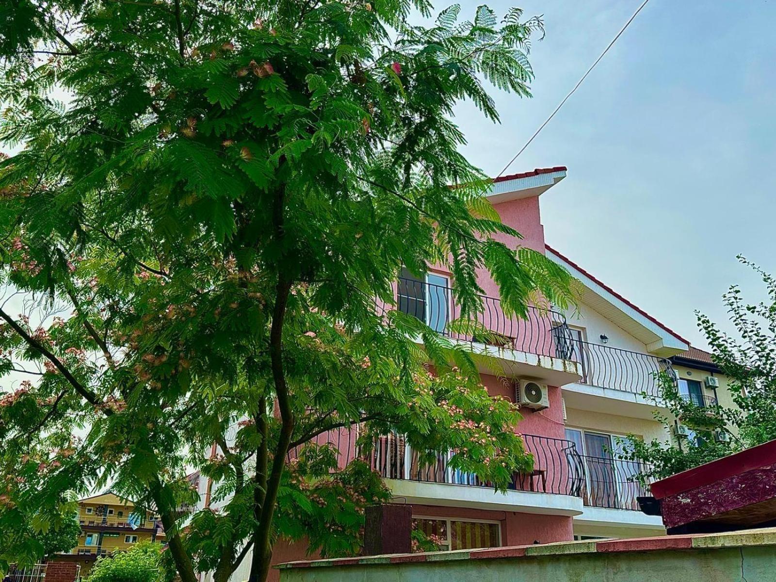 فندق Vila Lucy كوستِنيست المظهر الخارجي الصورة
